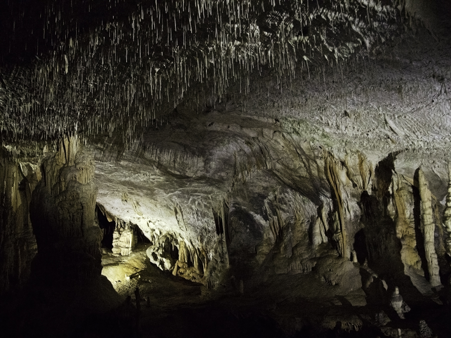 Postojna Caves, Slovenia